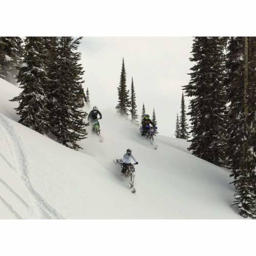 Geacă Snowmobil Damă FXR RACING EDGE · Negru / Albastru 